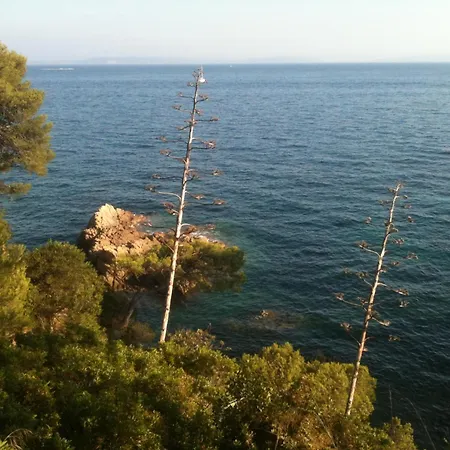 A Pied ! T3 Familial 150 M Lavandou Pisc Pkg Priv