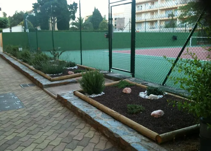 Daire A Pied ! Grand T3 A 150 M Lavandou Pisc Pkg Priv Le Lavandou