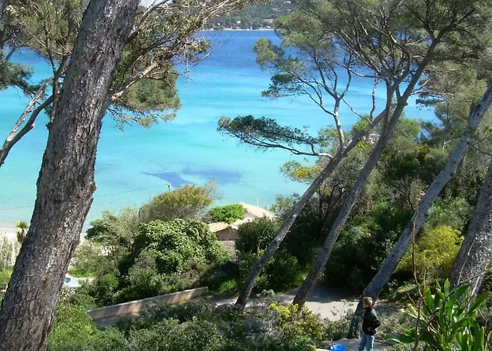 A Pied ! Grand T3 A 150 M Lavandou Pisc Pkg Priv Daire *