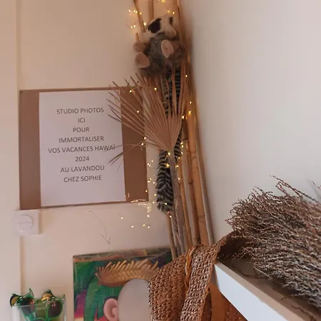 Apartmán A Pied ! T3 Familial 150 M Lavandou Pisc Pkg Priv Le Lavandou