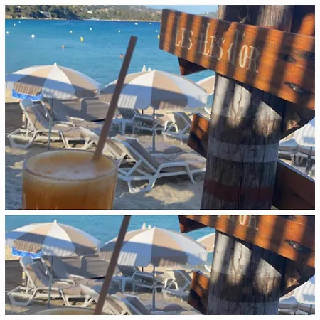 Apartman A Pied ! T3 Familial 150 M Lavandou Pisc Pkg Priv