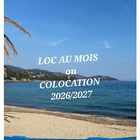 Promo !!tout A Pied !! T3 A 150 M Lavandou Pisc Pkg Priv لو لا فاندو